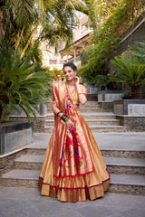 Paithani Jacquard Bronz Silk Zari Weaving Lehenga choli
