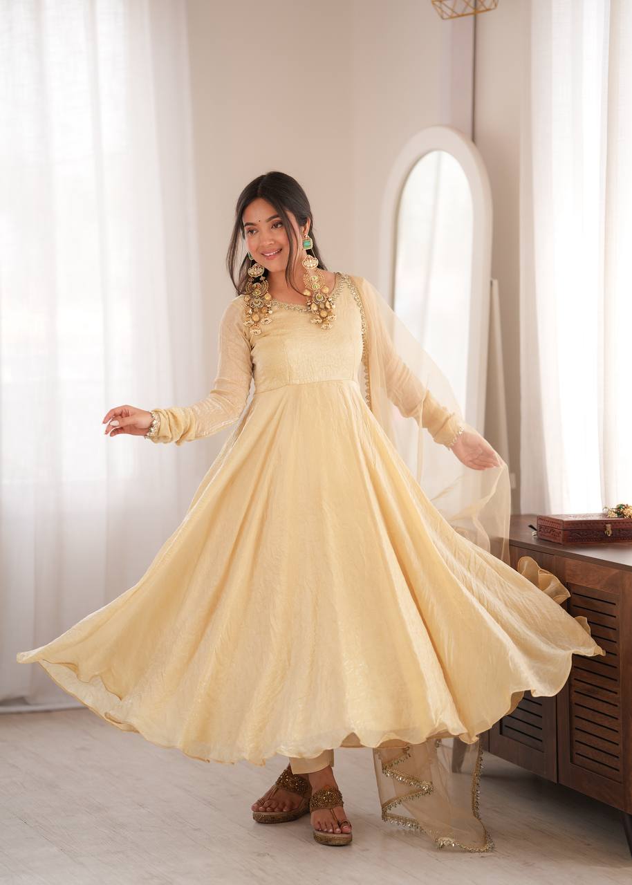 Doremon Crush With Real Mirror work Gown