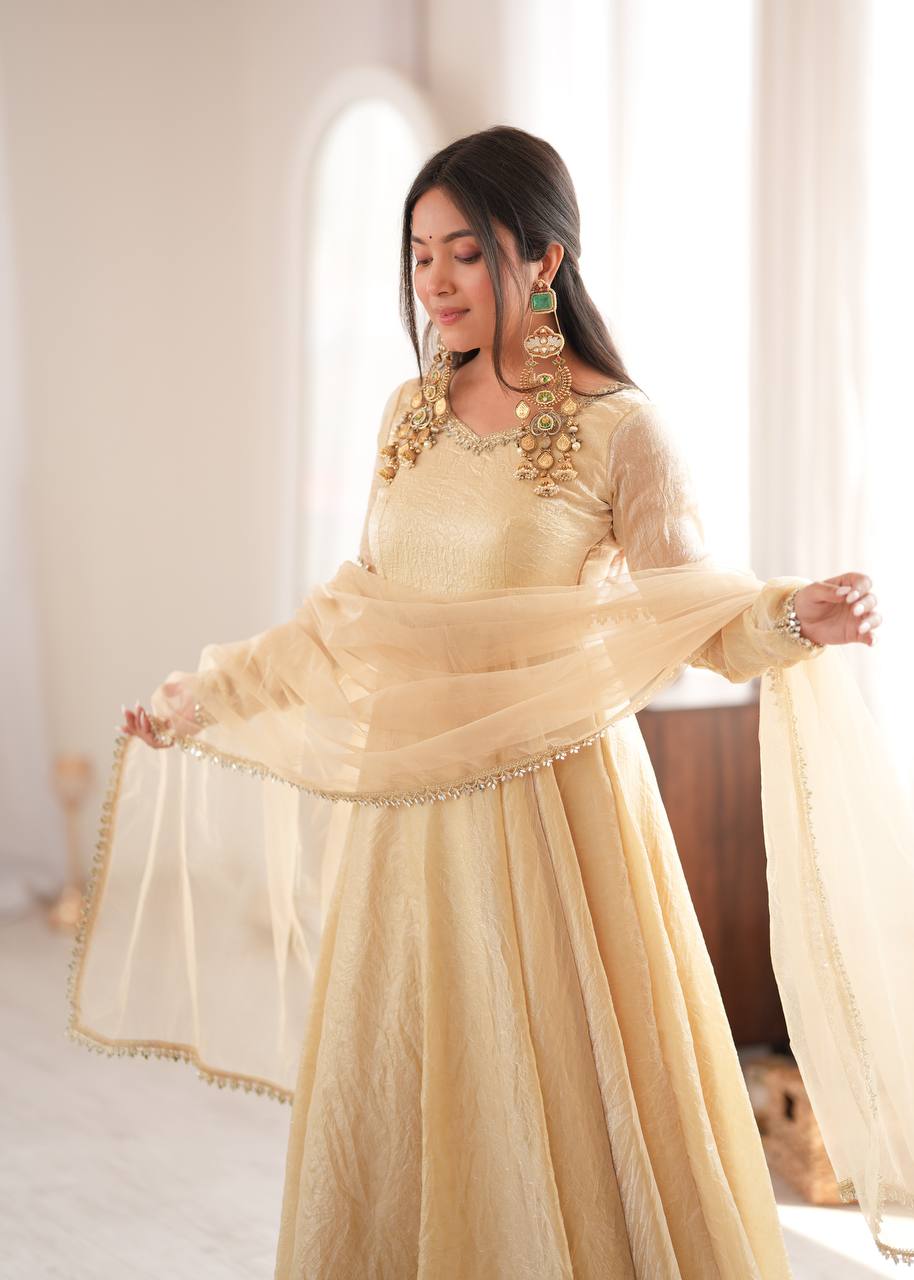 Doremon Crush With Real Mirror work Gown