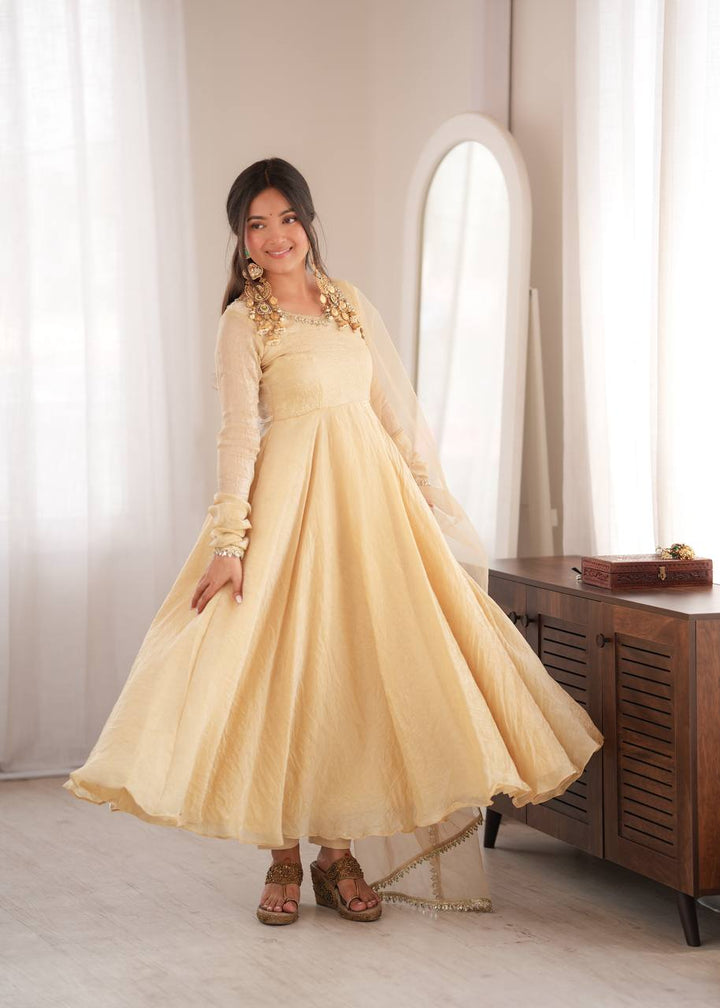 Doremon Crush With Real Mirror work Gown