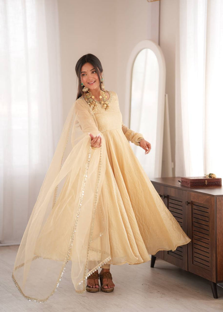 Doremon Crush With Real Mirror work Gown