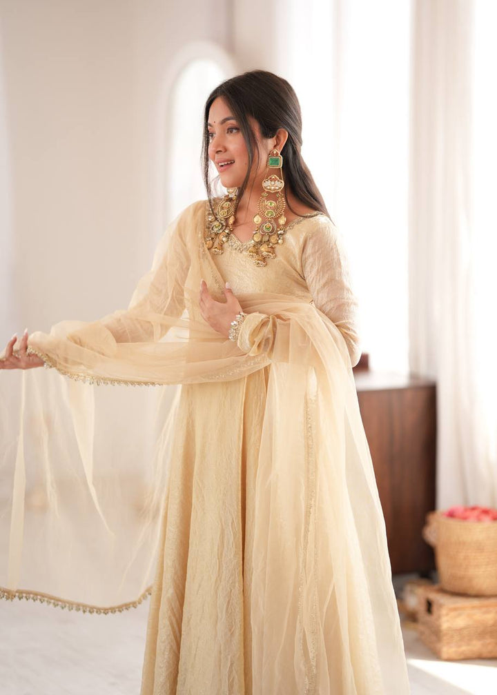 Doremon Crush With Real Mirror work Gown