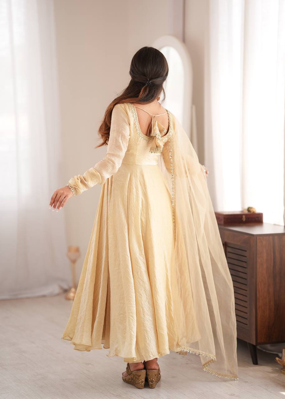 Doremon Crush With Real Mirror work Gown