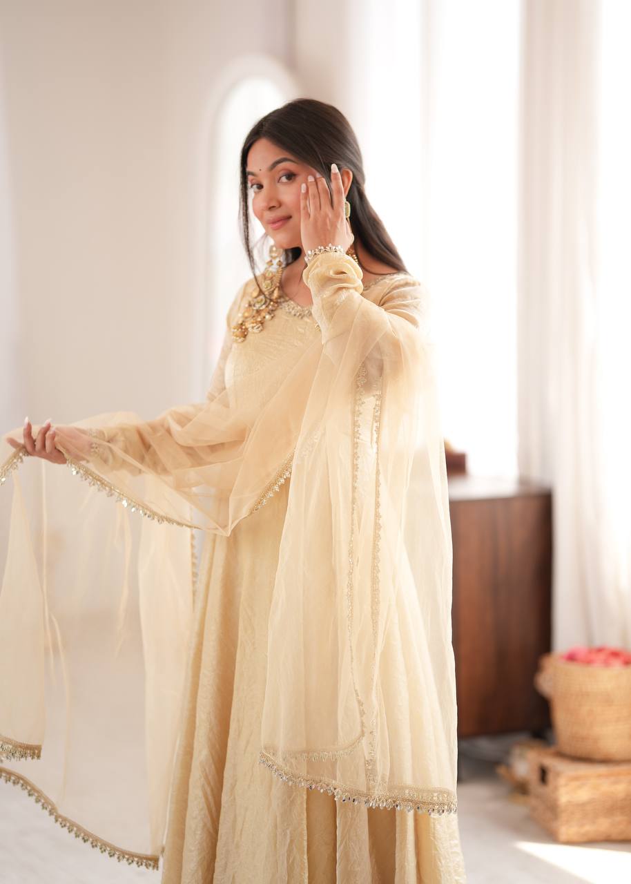 Doremon Crush With Real Mirror work Gown