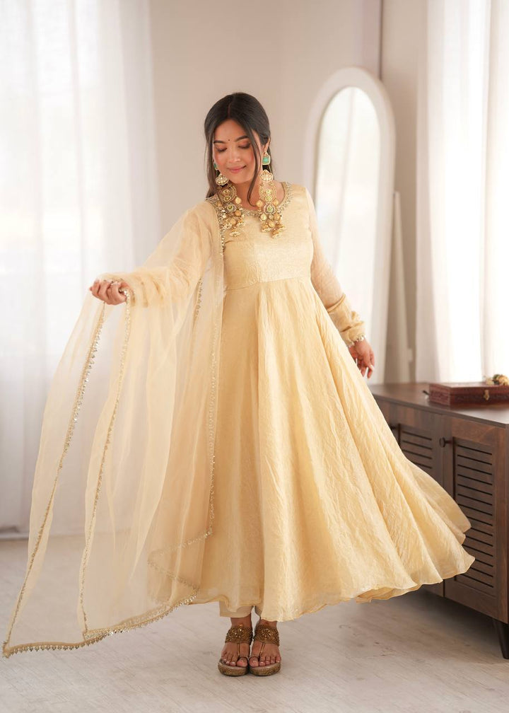 Doremon Crush With Real Mirror work Gown