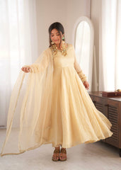 Doremon Crush With Real Mirror work Gown