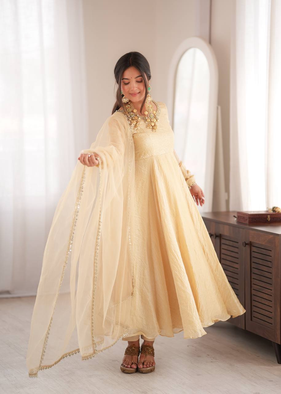 Doremon Crush With Real Mirror work Gown