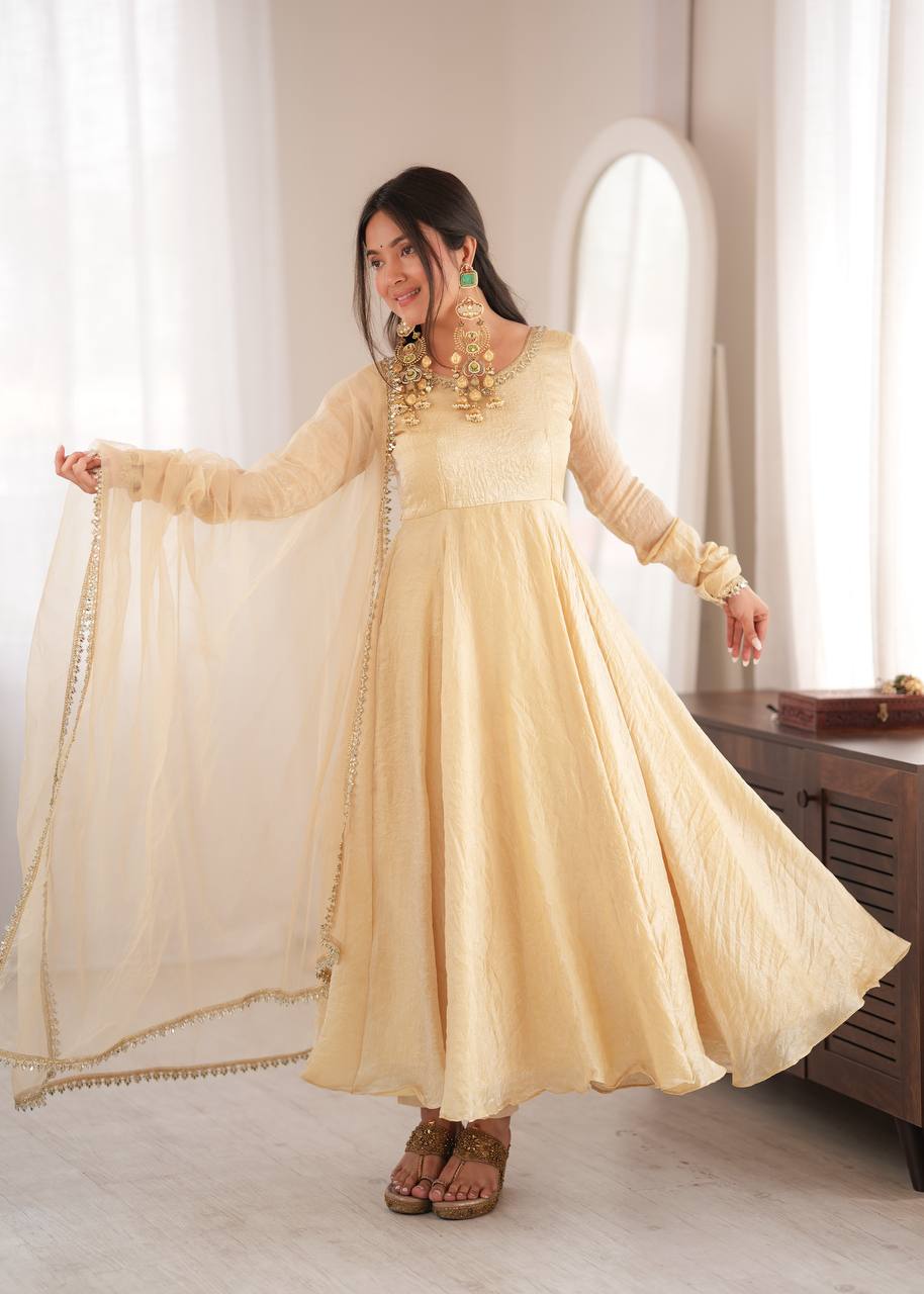 Doremon Crush With Real Mirror work Gown