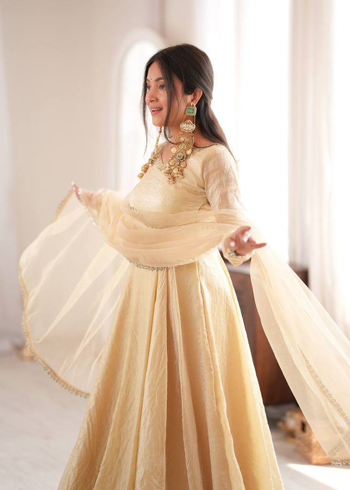 Doremon Crush With Real Mirror work Gown